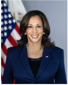 Official portrait of Vice President Kamala Harris wearing a blue blazer with an American flag in the background.